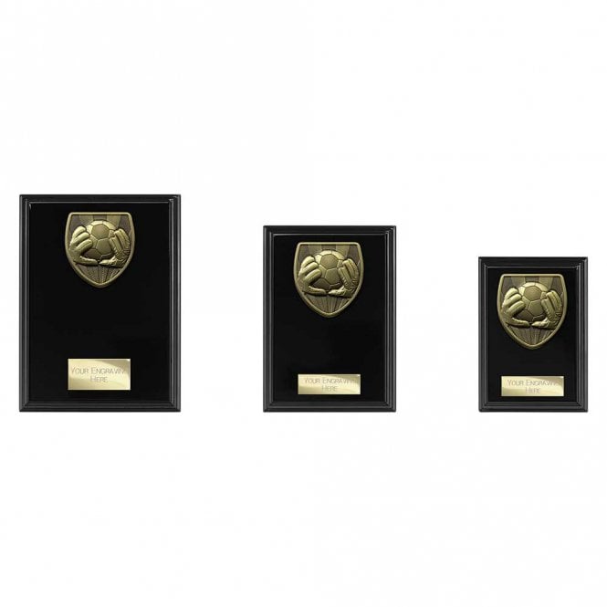 Cobra Plaque Football Goal Keeper Award