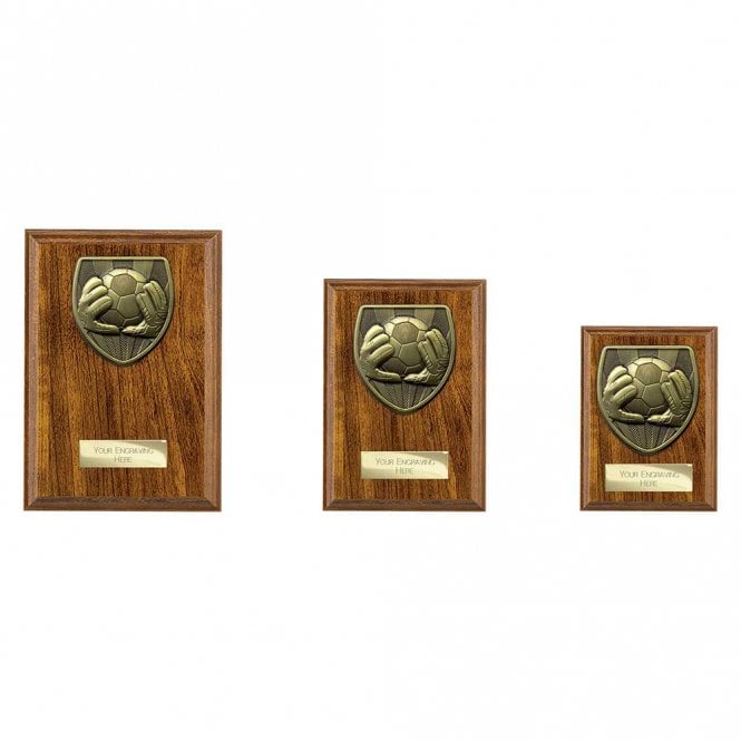 Cobra Plaque Football Goal Keeper Award
