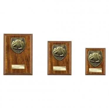 Cobra Plaque Football Goal Keeper Award
