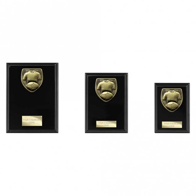 Cobra Plaque Football Shirt & Ball Award
