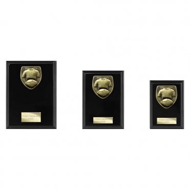 Cobra Plaque Football Shirt & Ball Award