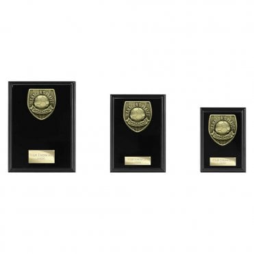 Cobra Plaque Managers Player Award