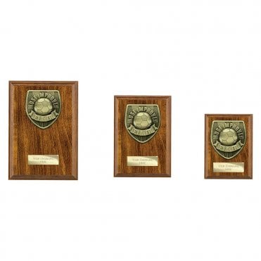 Cobra Plaque Most Improved Player Award