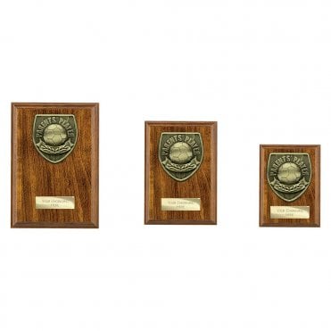 Cobra Plaque Parents Player Award