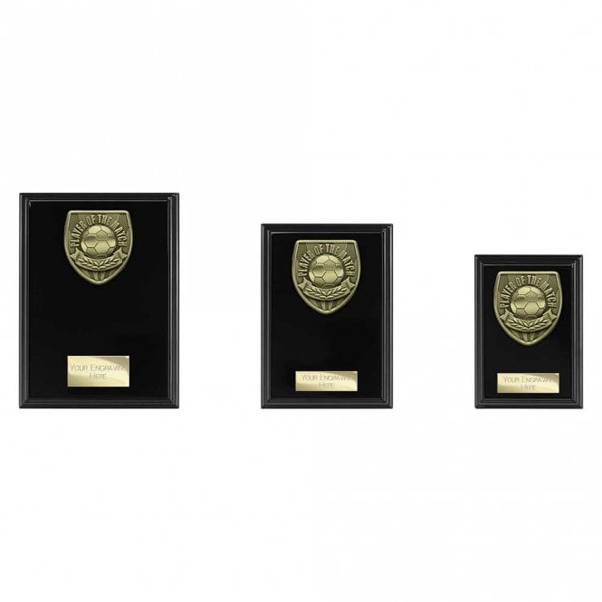 Cobra Plaque Player of Match Award