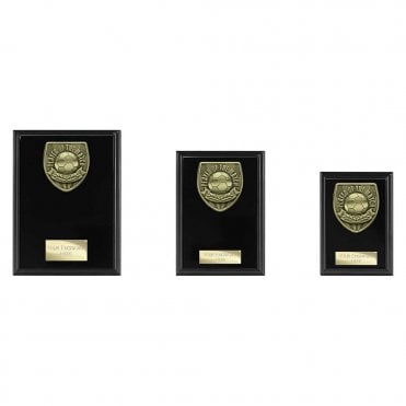 Cobra Plaque Player of Match Award