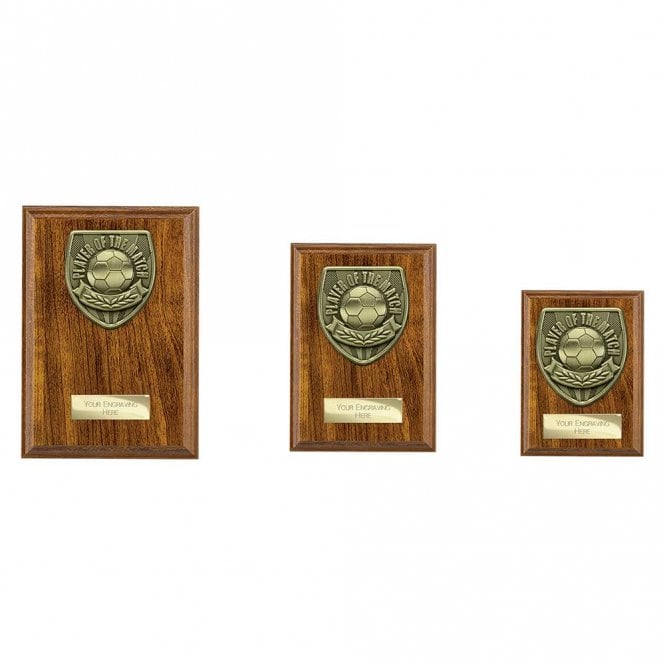 Cobra Plaque Player of Match Award