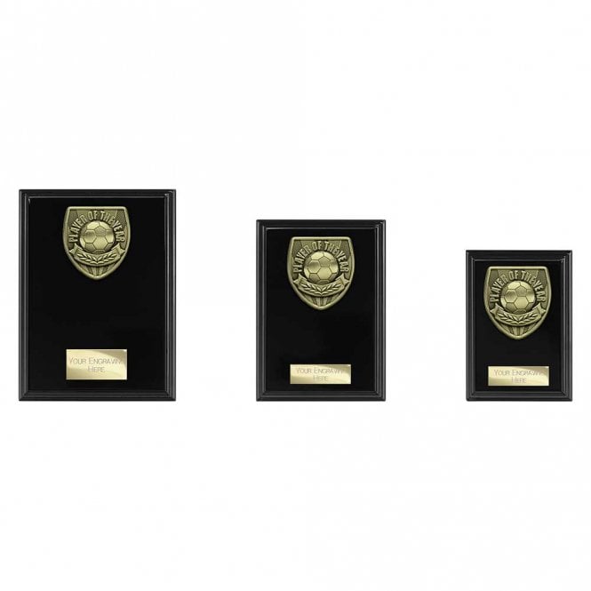 Cobra Plaque Player of Year Award