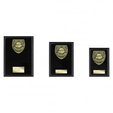 Cobra Plaque Player of Year Award