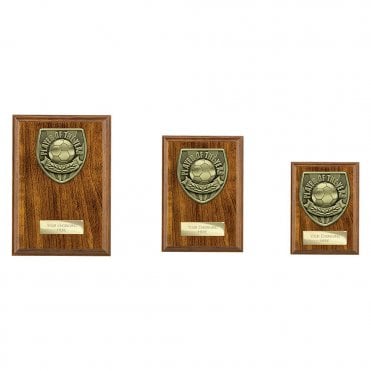 Cobra Plaque Player of Year Award
