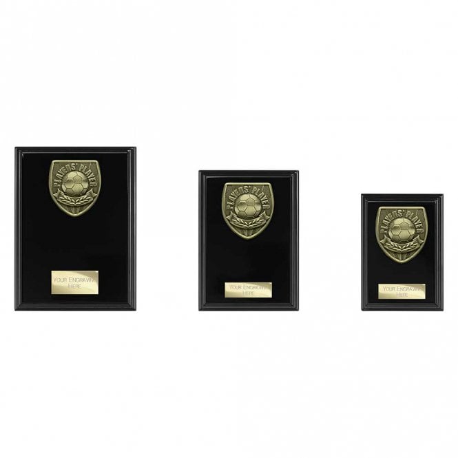 Cobra Plaque Players Player Award