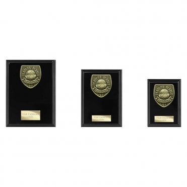 Cobra Plaque Players Player Award
