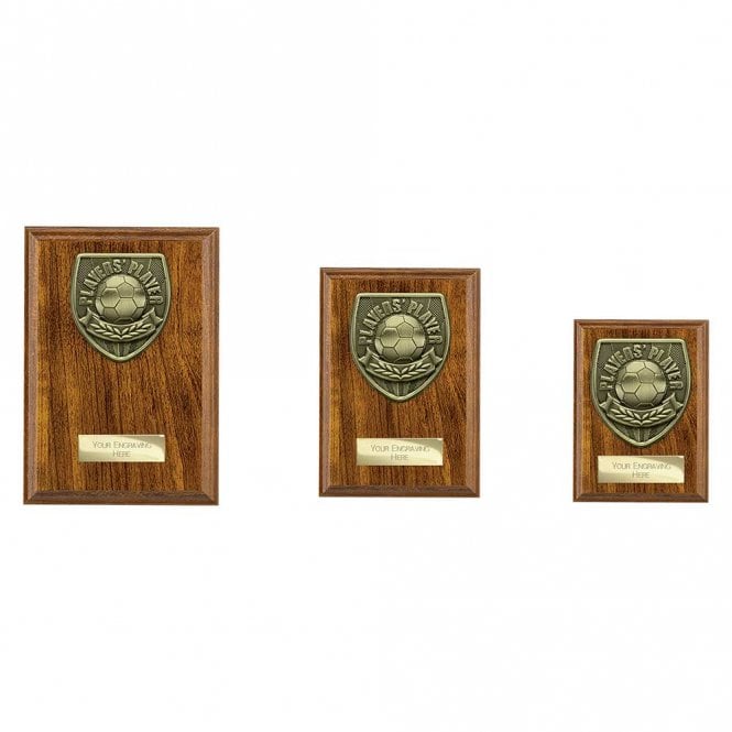 Cobra Plaque Players Player Award