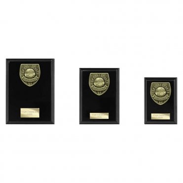 Cobra Plaque Top Scorer Award