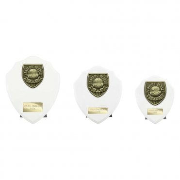 Cobra Shield Players Player Award