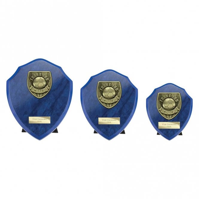 Cobra Shield Thank you Coach Award
