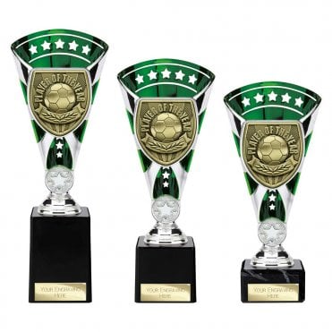 Cobra Star Cup Player of Year