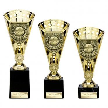 Cobra Star Cup Player of Year