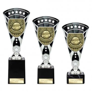 Cobra Star Cup Player of Year