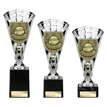 Cobra Star Cup Player of Year