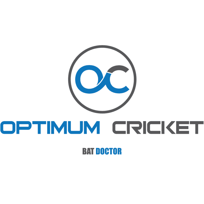 Cricket Bat Repair