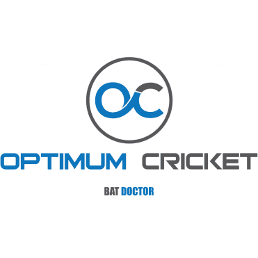 Cricket Bat Repair