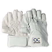 Wicket Keeping Equipment