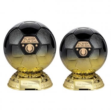 Elite Heavyweight Player of Year Award