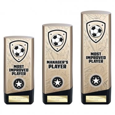 Prime Heavyweight Managers Player
