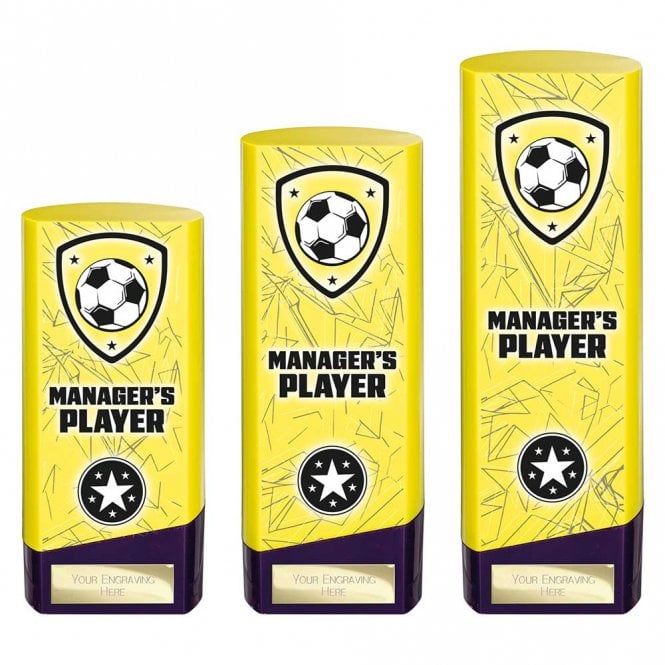 Prime Heavyweight Managers Player