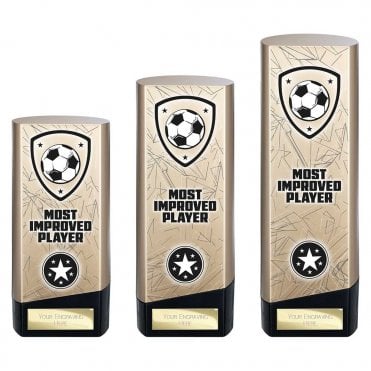 Prime Heavyweight Most Improved Player