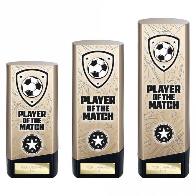Prime Heavyweight Player of Match