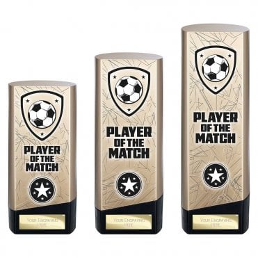 Prime Heavyweight Player of Match