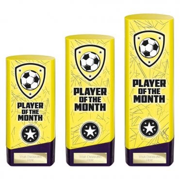 Prime Heavyweight Player of Month