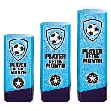 Prime Heavyweight Player of Month