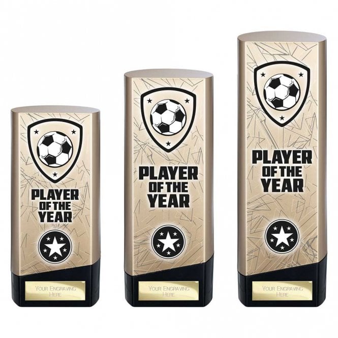 Prime Heavyweight Player of Year