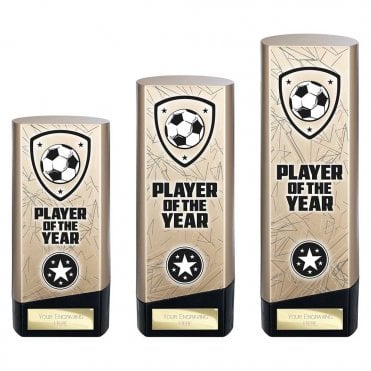Prime Heavyweight Player of Year