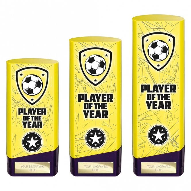 Prime Heavyweight Player of Year