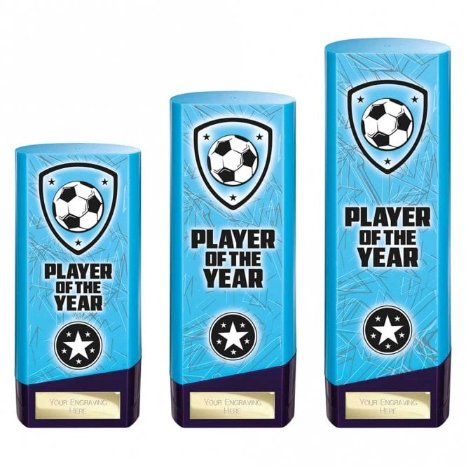 Prime Heavyweight Player of Year