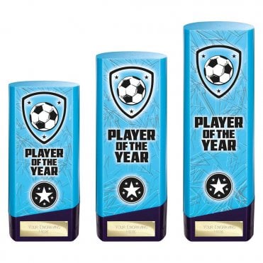 Prime Heavyweight Player of Year