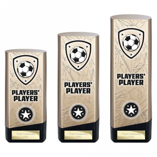 Prime Heavyweight Players Player