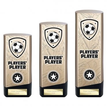 Prime Heavyweight Players Player